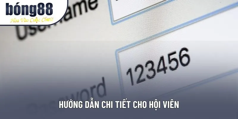 Hướng dẫn chi tiết cho hội viên