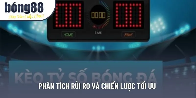 Phân tích rủi ro và chiến lược tối ưu